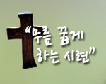 무릎 꿇게 하는 시련