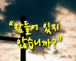 잠들어 있지 않습니까?