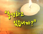 충성하고 있습니까?