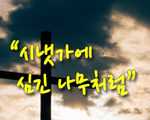 시냇가에 심긴 나무처럼