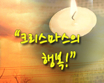 크리스마스의 행복!