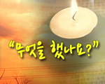 무엇을 했나요?