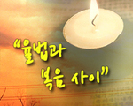 율법과 복음사이!
