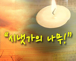 시냇가의 나무!